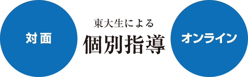 東大生による個別指導